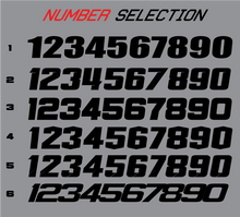 Load image into Gallery viewer, Proline &#39;Classic&#39; Number Plates
